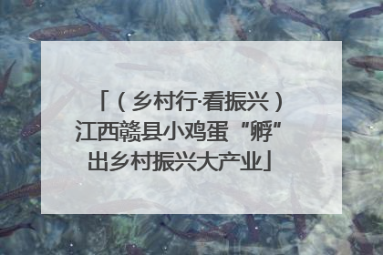 （乡村行·看振兴）江西赣县小鸡蛋“孵”出乡村振兴大产业