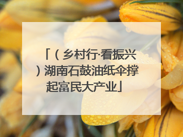 （乡村行·看振兴）湖南石鼓油纸伞撑起富民大产业