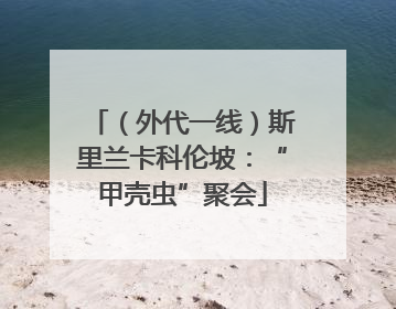 （外代一线）斯里兰卡科伦坡：“甲壳虫”聚会
