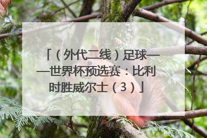 （外代二线）足球——世界杯预选赛：比利时胜威尔士（3）