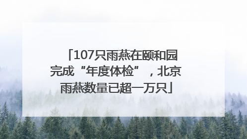 107只雨燕在颐和园完成“年度体检”，北京雨燕数量已超一万只