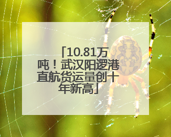 10.81万吨！武汉阳逻港直航货运量创十年新高