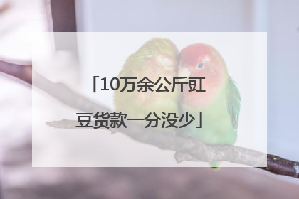 10万余公斤豇豆货款一分没少