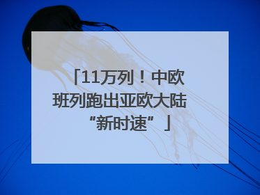 11万列！中欧班列跑出亚欧大陆“新时速”