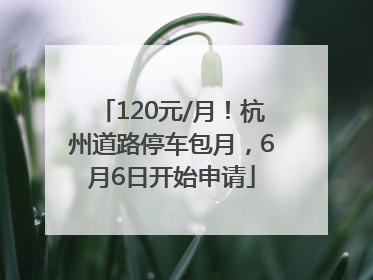120元/月！杭州道路停车包月，6月6日开始申请