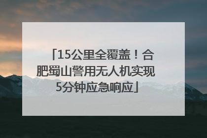 15公里全覆盖！合肥蜀山警用无人机实现5分钟应急响应