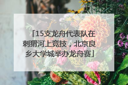 15支龙舟代表队在刺猬河上竞技，北京良乡大学城举办龙舟赛