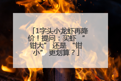 1字头小龙虾再降价！提问：买虾 “钳大” 还是 “钳小” 更划算？
