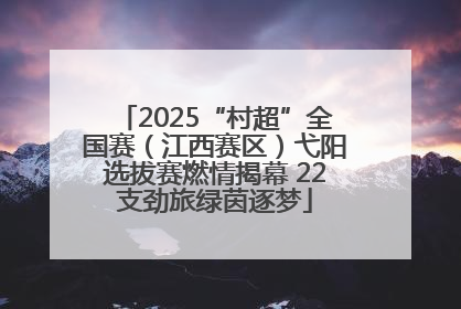 2025“村超”全国赛（江西赛区）弋阳选拔赛燃情揭幕 22支劲旅绿茵逐梦