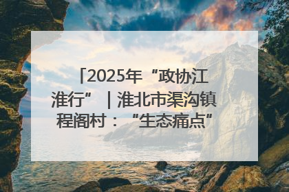 2025年“政协江淮行”｜淮北市渠沟镇程阁村：“生态痛点”变“生态景观”