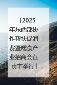 2025年东西部协作帮扶促消费暨糯食产业招商会在贞丰举行