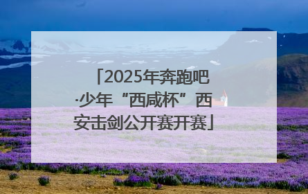 2025年奔跑吧·少年“西咸杯”西安击剑公开赛开赛