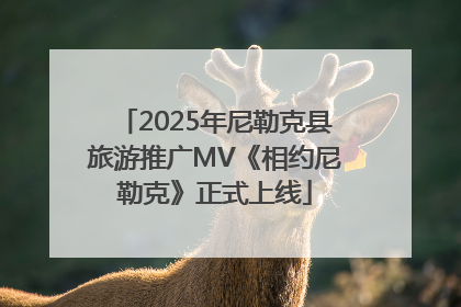 2025年尼勒克县旅游推广MV《相约尼勒克》正式上线