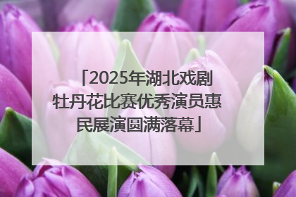 2025年湖北戏剧牡丹花比赛优秀演员惠民展演圆满落幕