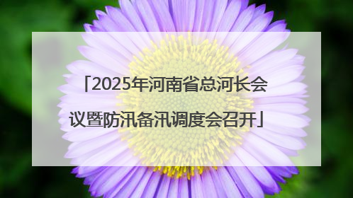 2025年河南省总河长会议暨防汛备汛调度会召开