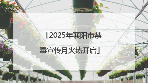 2025年襄阳市禁毒宣传月火热开启