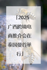 2025广西跨境电商推介会在泰国曼谷举行