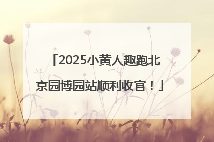 2025小黄人趣跑北京园博园站顺利收官！