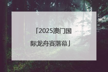 2025澳门国际龙舟赛落幕