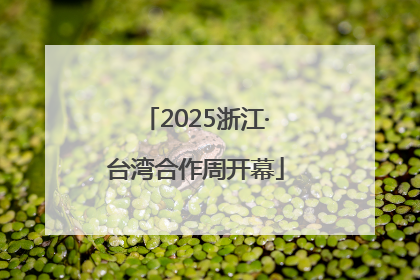 2025浙江·台湾合作周开幕