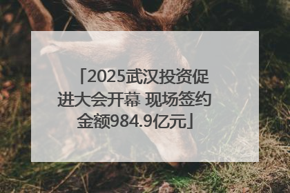 2025武汉投资促进大会开幕 现场签约金额984.9亿元