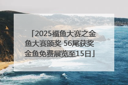 2025福鱼大赛之金鱼大赛颁奖 56尾获奖金鱼免费展览至15日