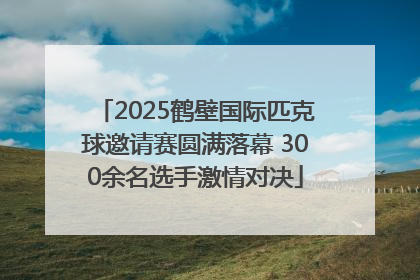 2025鹤壁国际匹克球邀请赛圆满落幕 300余名选手激情对决