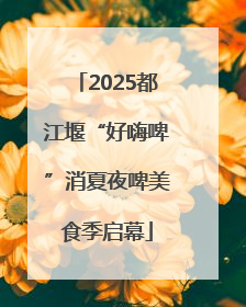 2025都江堰“好嗨啤”消夏夜啤美食季启幕