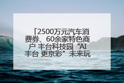 2500万元汽车消费券、60余家特色商户 丰台科技园“AI丰台 更京彩”未来玩家市集活动正式开幕
