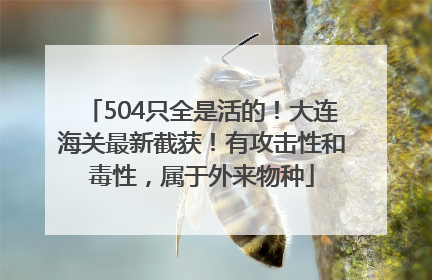 504只全是活的！大连海关最新截获！有攻击性和毒性，属于外来物种