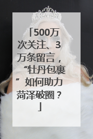 500万次关注、3万条留言，“牡丹包裹”如何助力菏泽破圈？