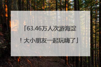 63.46万人次游海淀！大小朋友一起玩嗨了