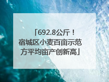 692.8公斤！宿城区小麦百亩示范方平均亩产创新高