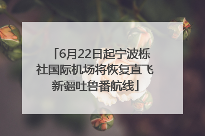 6月22日起宁波栎社国际机场将恢复直飞新疆吐鲁番航线