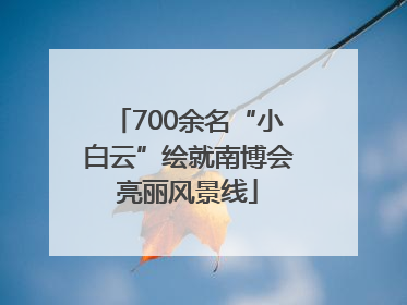 700余名“小白云”绘就南博会亮丽风景线