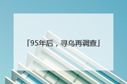 95年后，寻乌再调查