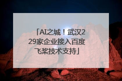 AI之城！武汉229家企业接入百度飞桨技术支持