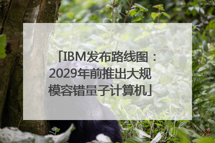 IBM发布路线图：2029年前推出大规模容错量子计算机