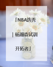 NBA选秀｜杨瀚森试训开拓者