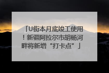 U街本月底竣工使用！新疆阿拉尔市胡杨河畔将新增“打卡点”